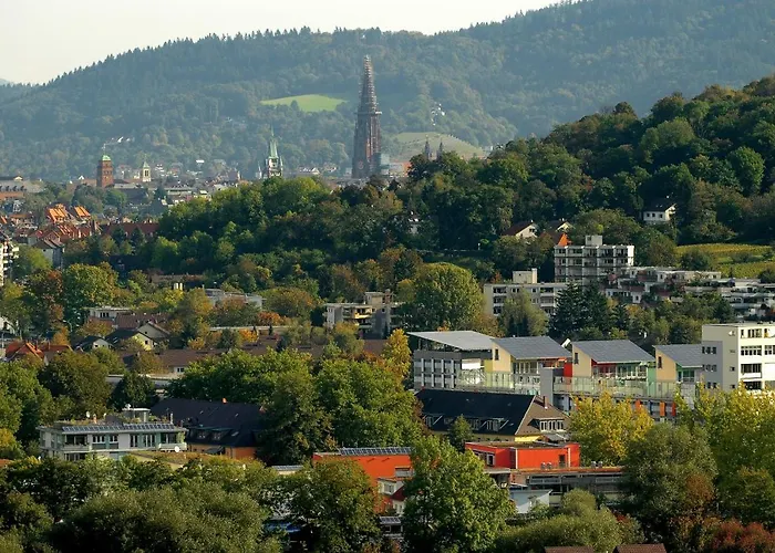 Schwärs Löwen